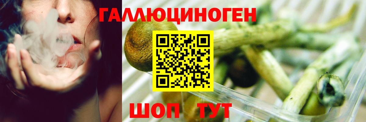 Галлюциногенные грибы Magic Shrooms  Вход с VPN  Астрахань 